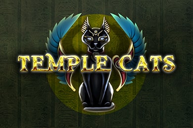 Играть в Templecats Миллион Казино